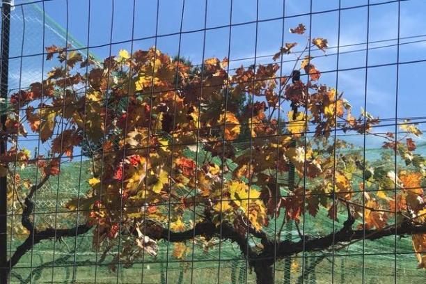 a close up of a wire fence