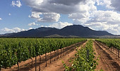 a view of a mountain
