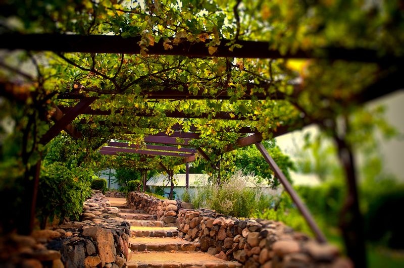 PHOENIX VINEYARDS 2001 フェニックスヴィンヤード Phoenix to Northern Arizona Wine Country | Sonoran Tasting Tours
