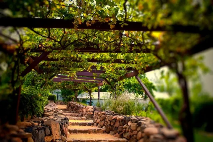 a bench in front of a tree